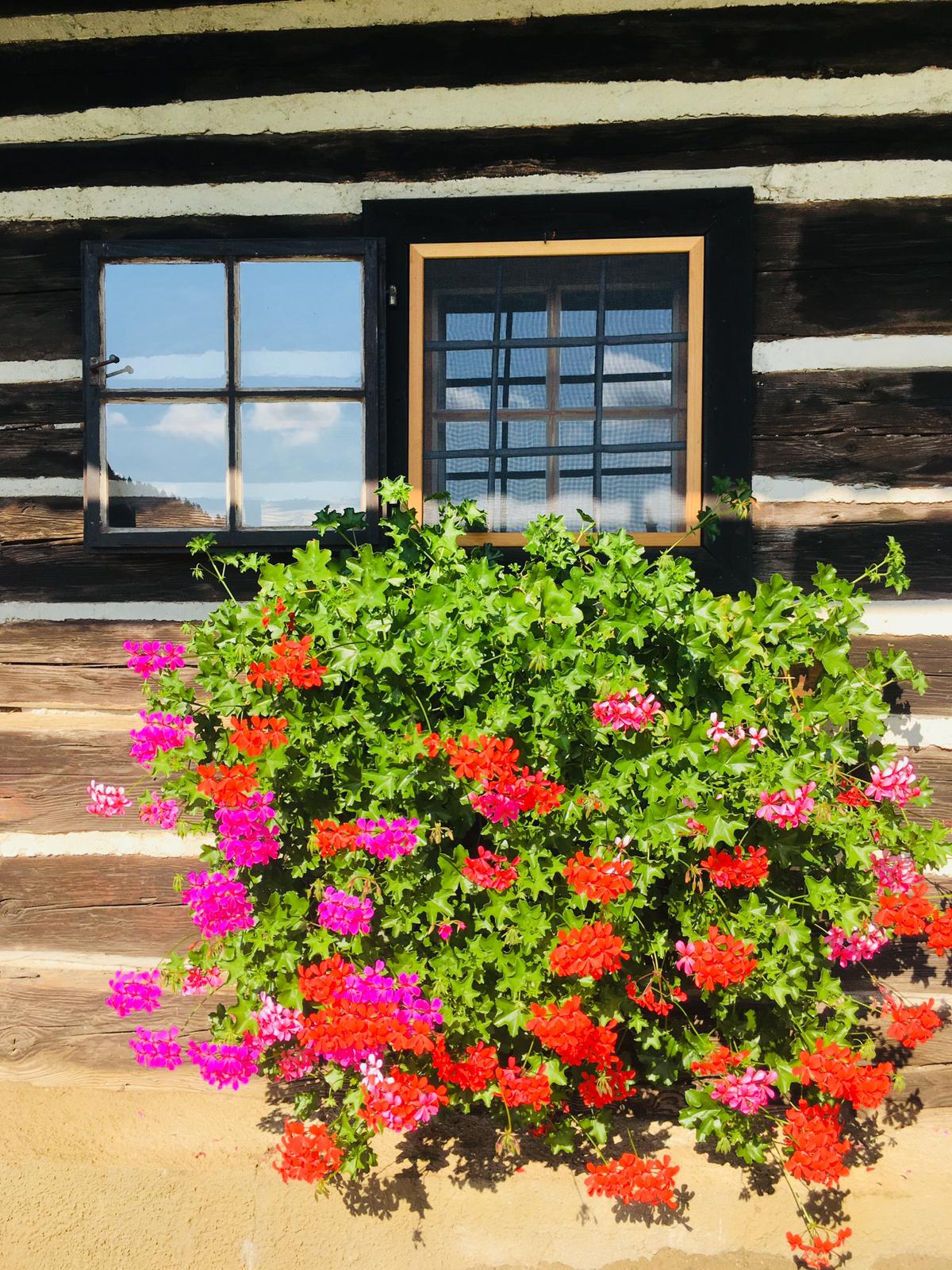 173763f7-369e-4943-b18a-1445de8039a6