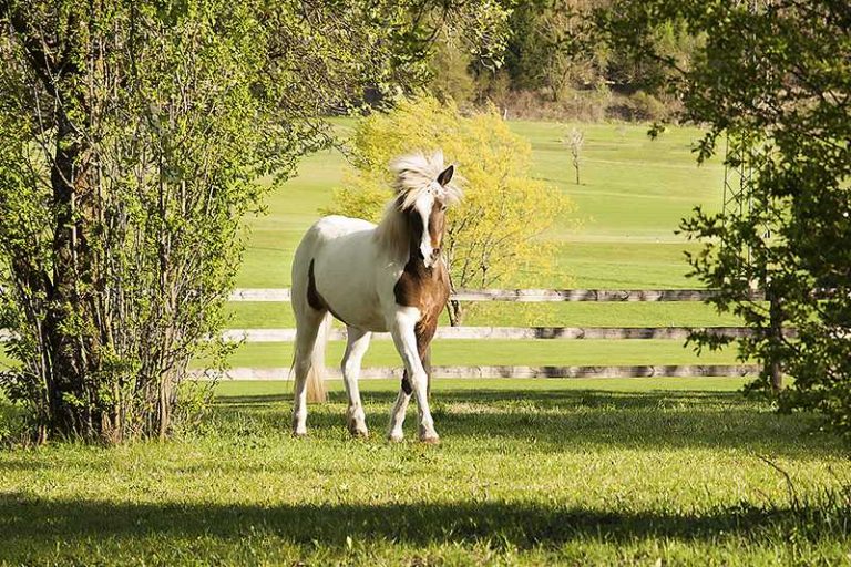 FOTOSTUDIO-HEIKE FUCHS