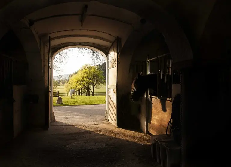 DSC_5711 - optimized