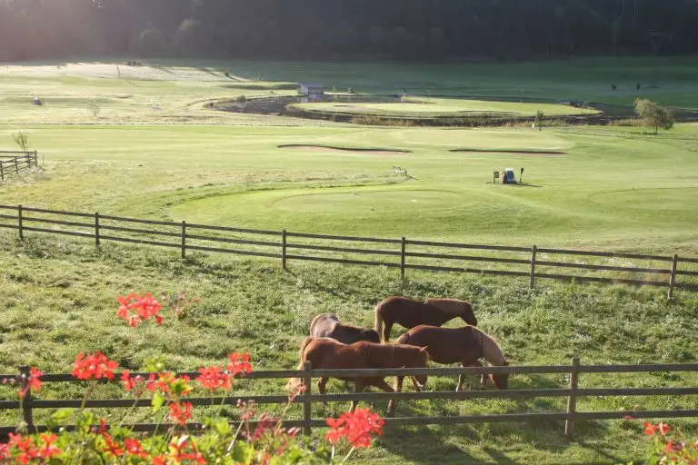 IMG_09401 - optimized