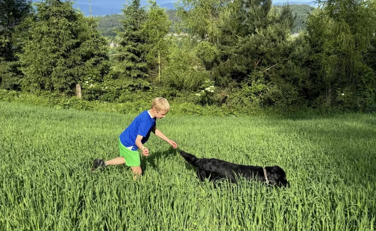 Jongen speelt met zwarte hond.